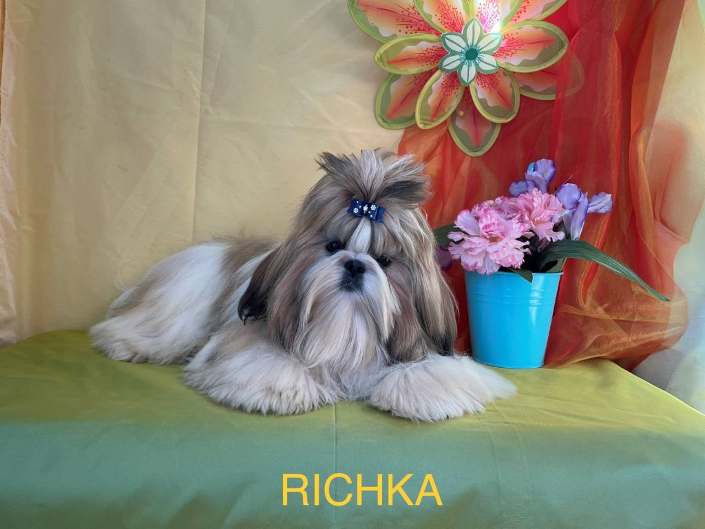 Richka Des poupons frises