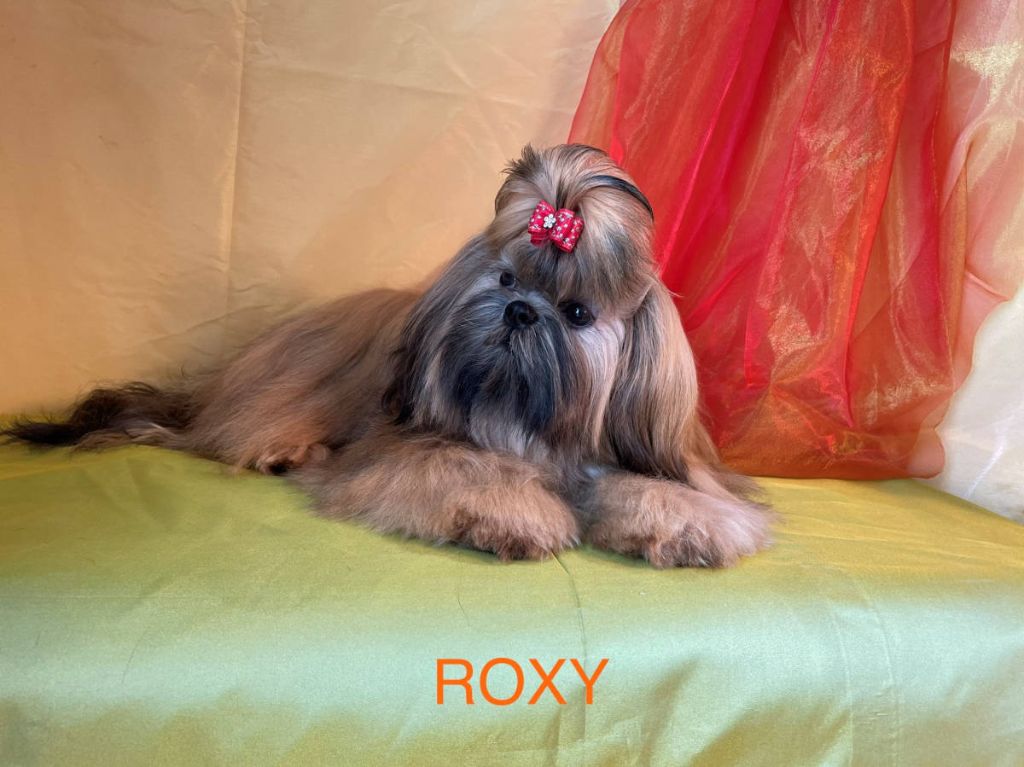 Roxy Des poupons frises